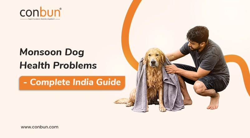 Monsoon Dog Health Problems - Complete India Guide